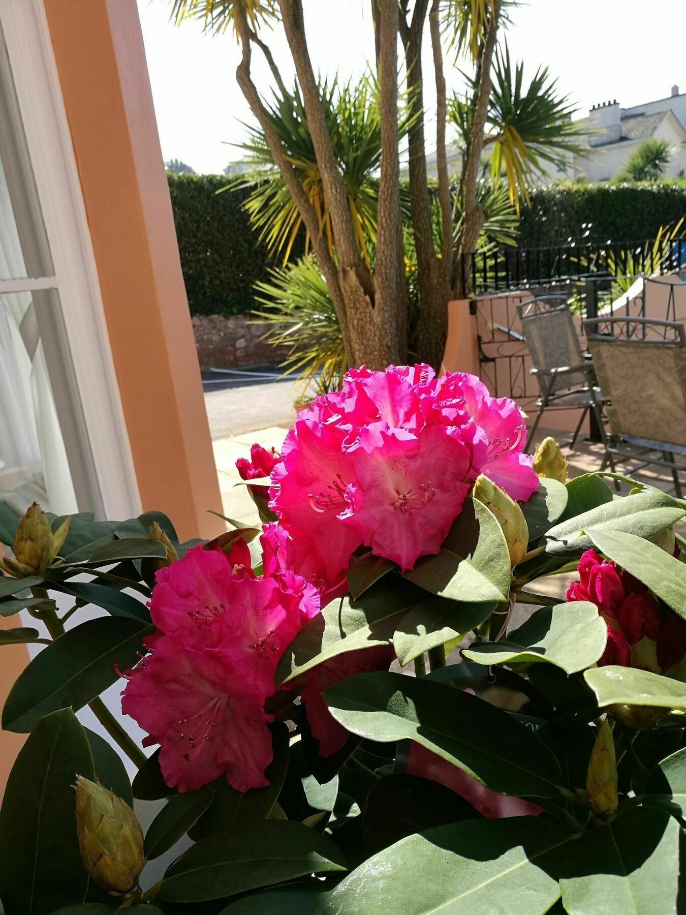 The Devon Court Hotel Torquay Eksteriør billede